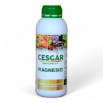 CESGAR MAGNESIO - 1L