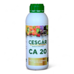 CESGAR CA 20 - 1L