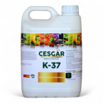 CESGAR K-37 - 5L