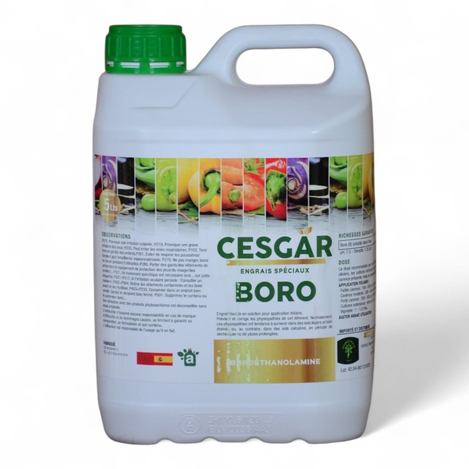 WhatsApp Image 2026-01-06 at 12.59.32 Cesgar BORO - 5L – Image 1